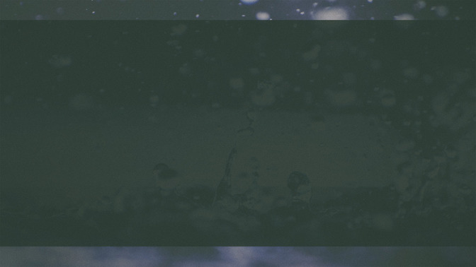 Living_Water_16x9-BACKGROUND#preset=tg_bg.jpg