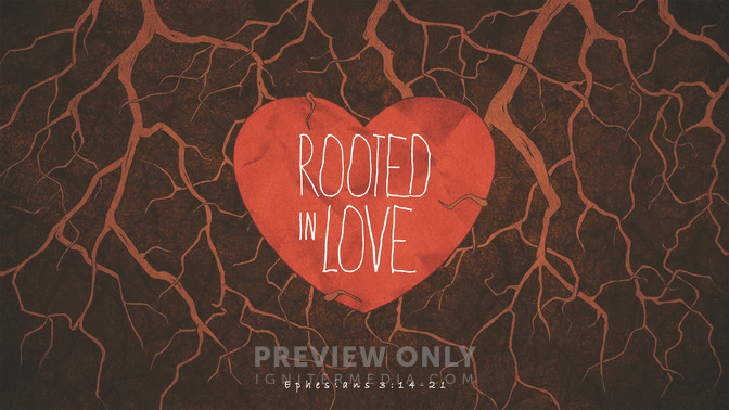 rooted in love