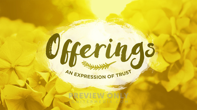 flower fields - offerings
