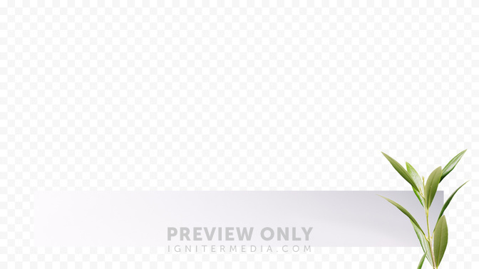 FruitoftheSpirit_FruitoftheSpirit_L3_TH_Go_In_Peace_WIDE#preset=tg_transparent_png_preview.jpg