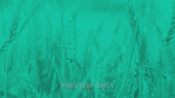Give_Thanks-Spanish-WIDE#preset=tg_bg.jpg