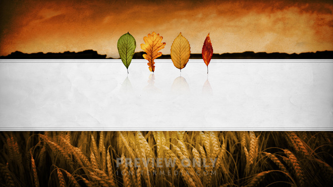 See_You_Soon_16x9-TITLE-3#preset=tg_title3.jpg