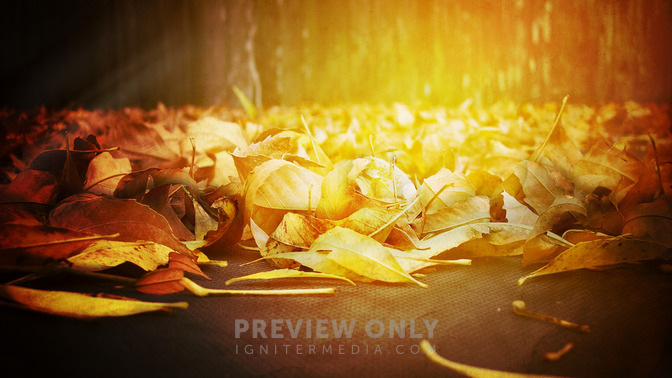 You_Belong_16x9-TITLE-3#preset=tg_title3.jpg