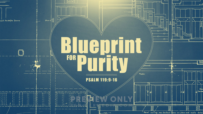 blueprint for purity