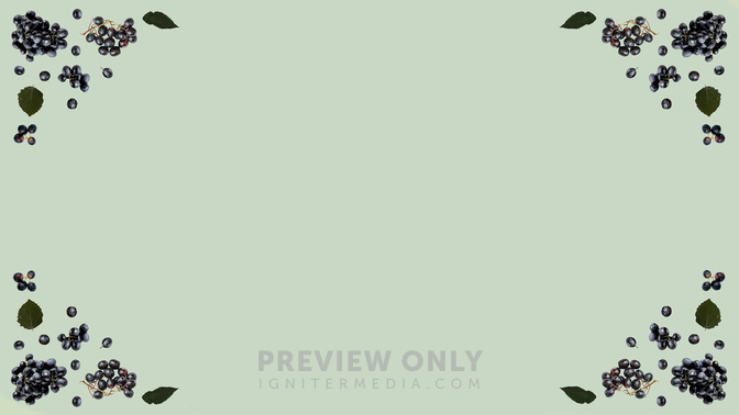 Wild_Grapes_WIDE-BACKGROUND#preset=tg_bg.jpg