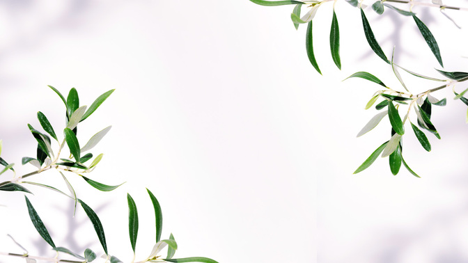 FruitoftheSpirit_FruitoftheSpirit_TT3_Welcome_WIDE#preset=tg_title3.jpg