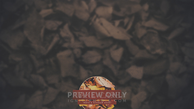 Autumn_Colors-Take_Care_WIDE-CONTENT-1#preset=tg_alt1.jpg