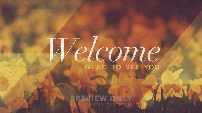 morning flowers - welcome