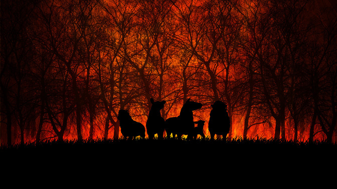 Last_Day_Shepherds_16x9-TITLE-3#preset=tg_title3.jpg