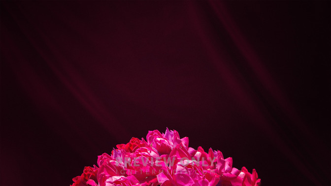 In_Remembrance_Of_16x9-TITLE-3#preset=tg_title3.jpg