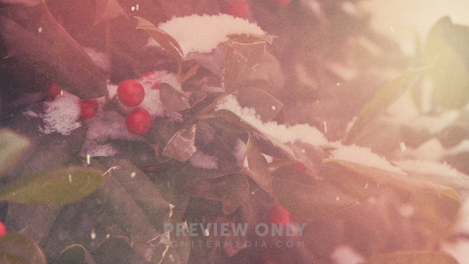 Scenic_Christmas_Holly_HD.jpg