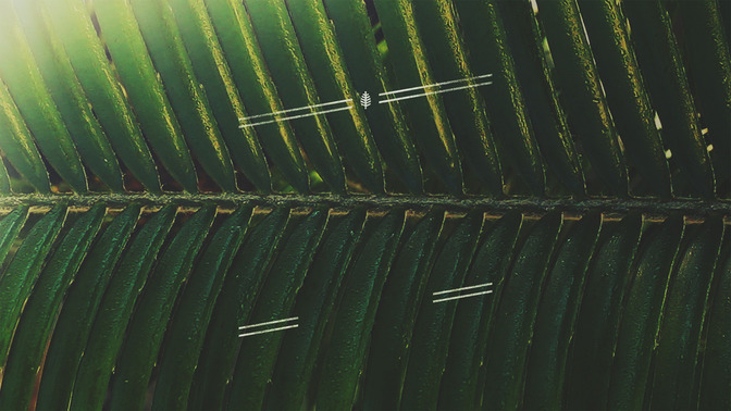Macro_Easter_-_Palm_Sunday_16x9-TITLE-3#preset=tg_title3.jpg