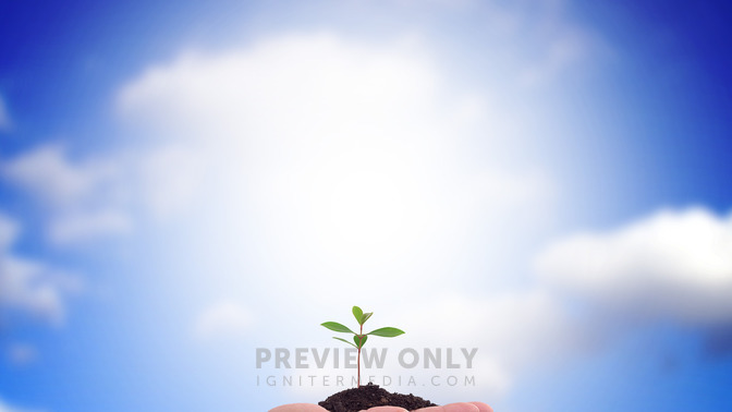 El_Crecimiento_Que_Da_Dios_16x9-BACKGROUND#preset=tg_bg.jpg