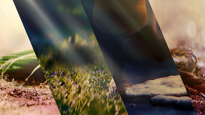 HolyWeek-WIDE#preset=tg_title3.jpg