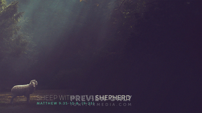 Sheep_Without_A_Shepherd_WIDE-CONTENT-1#preset=tg_alt1.jpg