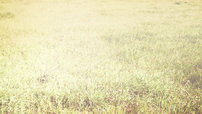 Vigilancia_Eterna_16x9-BACKGROUND#preset=tg_bg.jpg
