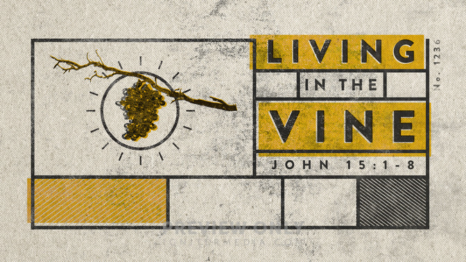 living in the vine