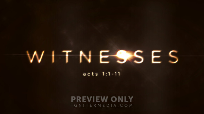 witnesses