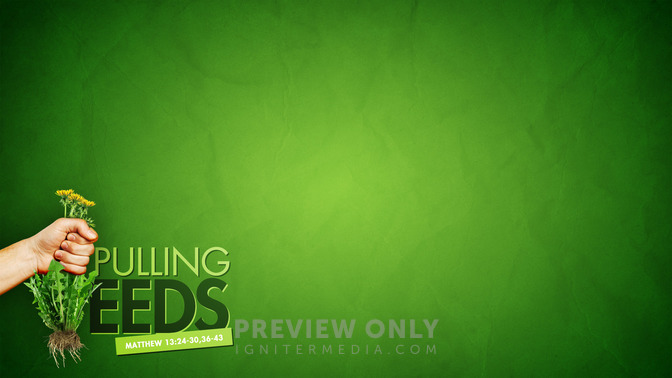 Pulling_Weeds_16x9-CONTENT-1#preset=tg_alt1.jpg