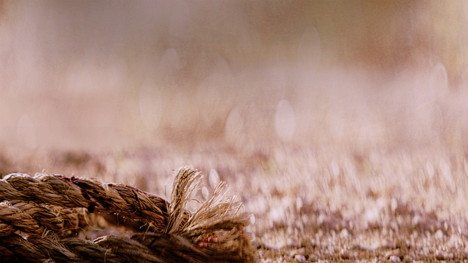 GoodFriday-WIDE#preset=tg_alt2.jpg