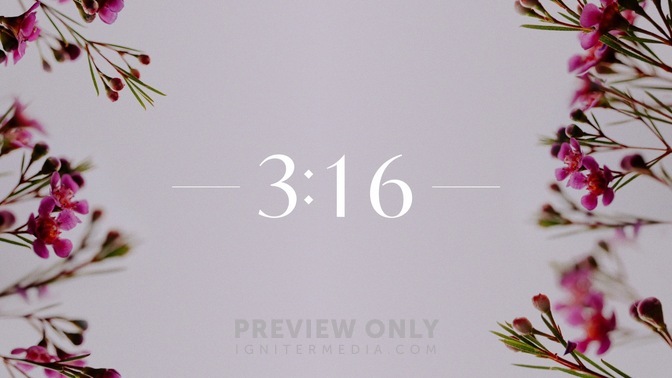 Floral_Details_Floral_Details_Countdown_02_HD.jpg