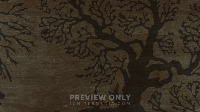 Tree_16x9.jpg