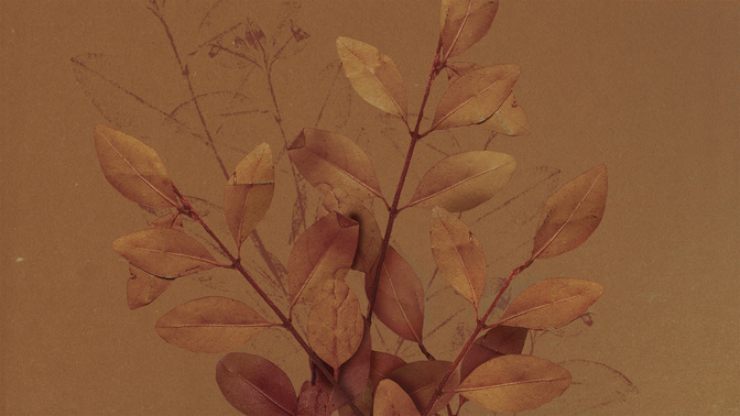Autumn Nature_TT3_Main_WIDE#preset=tg_title3.jpg