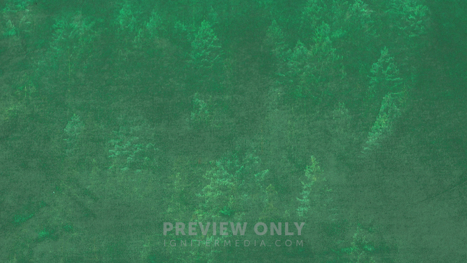 WB_Green_Trees_HD.jpg