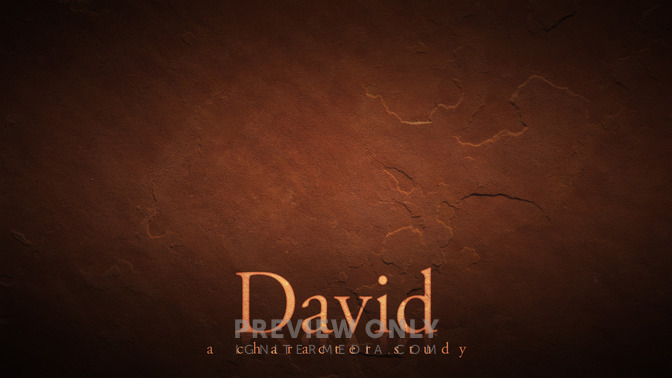 David_16x9-CONTENT-1#preset=tg_alt1.jpg
