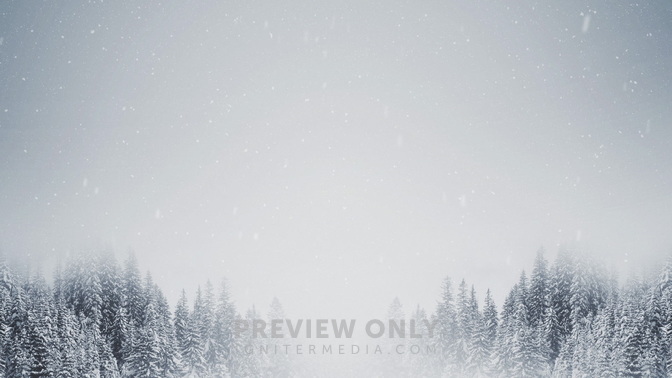 Majestic_Snow_Tree_Tops_HD.jpg