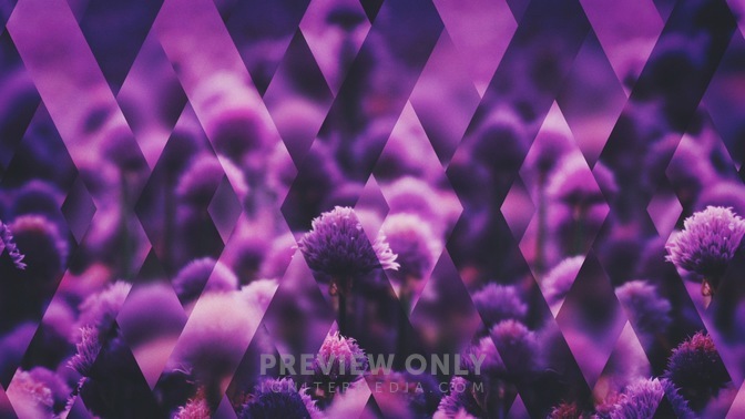 Spring_Shift_Purple_Full_HD.jpg