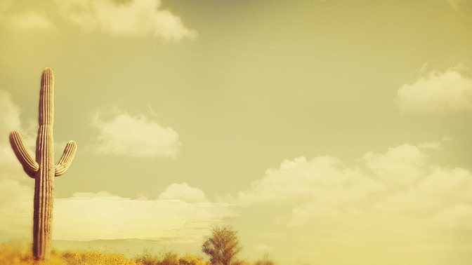 Prayers_in_the_Desert_16x9-CONTENT-3#preset=tg_alt3.jpg