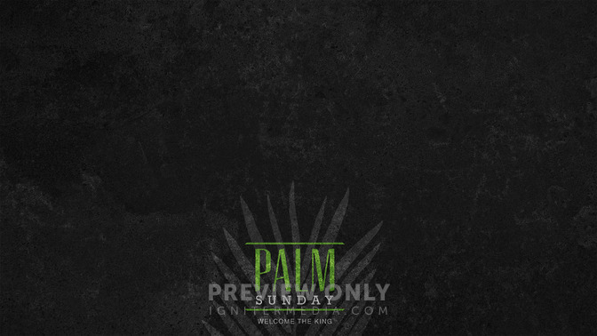 Holy_Week_-_Palm_Sunday_16x9-CONTENT-1#preset=tg_alt1.jpg