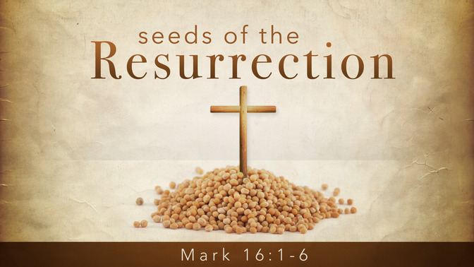 seeds of the resurrection