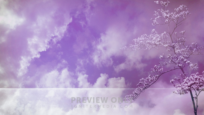 Spring_Blossom_-_This_Week_16x9-CONTENT-3#preset=tg_alt3.jpg