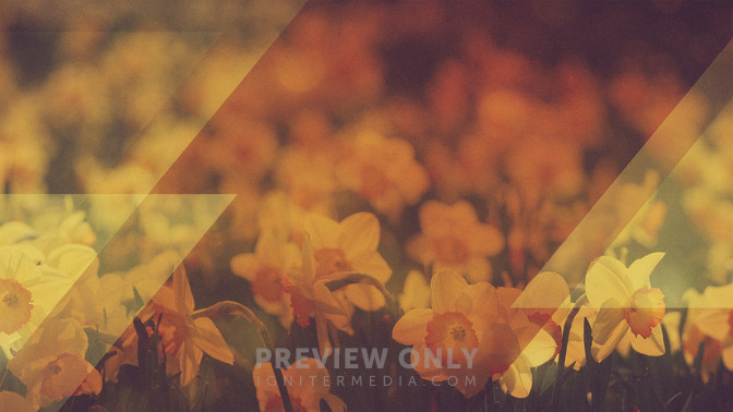 Morning_Flowers_-_Welcome_16x9-TITLE-3#preset=tg_title3.jpg