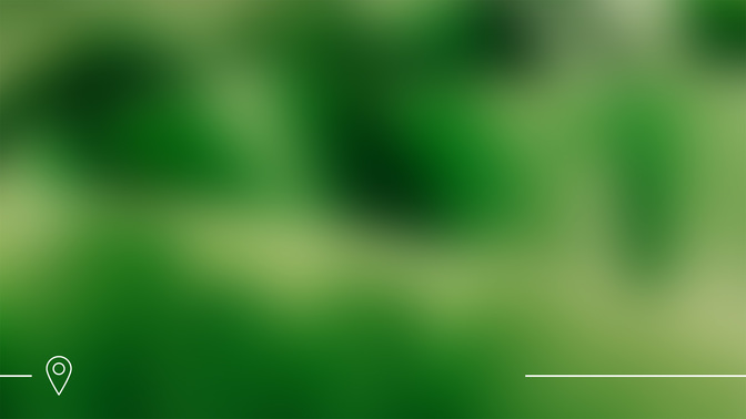 Summer Sun_Alt2_SummerOutreach_WIDE#preset=tg_alt2.jpg