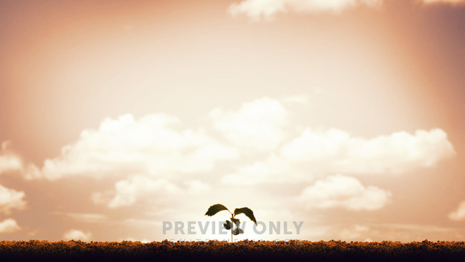 Alive_in_the_Spirit_16x9-BACKGROUND#preset=tg_bg.jpg