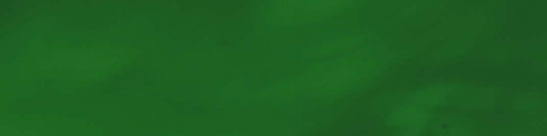 x paint - green