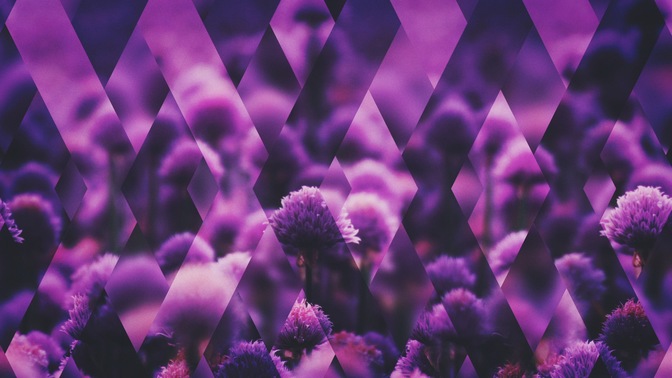 Spring_Shift_Purple_Full_HD.jpg