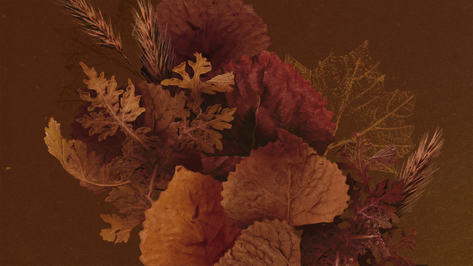 Autumn Nature_TT3_Main_WIDE#preset=tg_title3.jpg