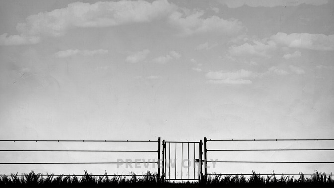 Miracle_at_your_Gate_16x9-CONTENT-3#preset=tg_alt3.jpg