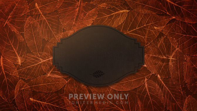 Fancy_Leaves_-_Happy_Thanksgiving_16x9-TITLE-3#preset=tg_title3.jpg
