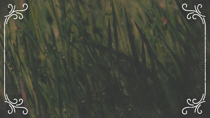 Spring_Swirls_-_Offerings_16x9-BACKGROUND#preset=tg_bg.jpg