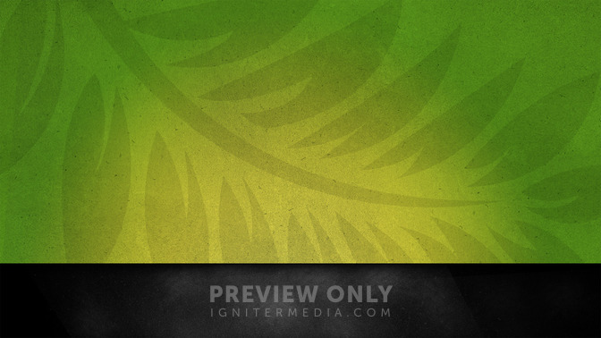 Holy_Week_Colors_-_Palm_Sunday_16x9-CONTENT-3#preset=tg_alt3.jpg