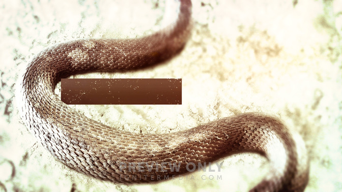 Murmuring_Moments_16x9-TITLE-3#preset=tg_title3.jpg