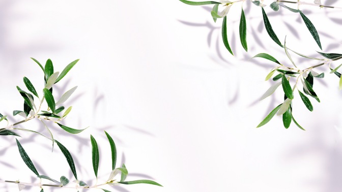 fruit of the spirit - 2