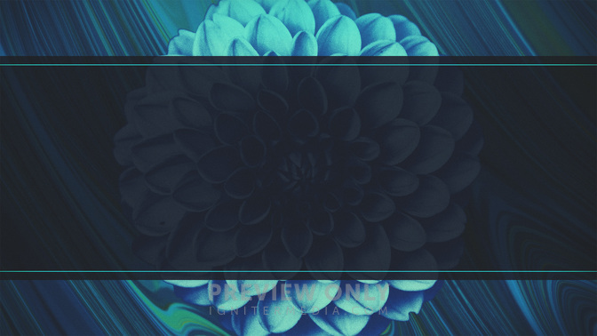 Spring_Mix-Welome_WIDE-BACKGROUND#preset=tg_bg.jpg