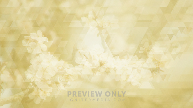 Spring_Shapes_-_Yellow_16x9.jpg