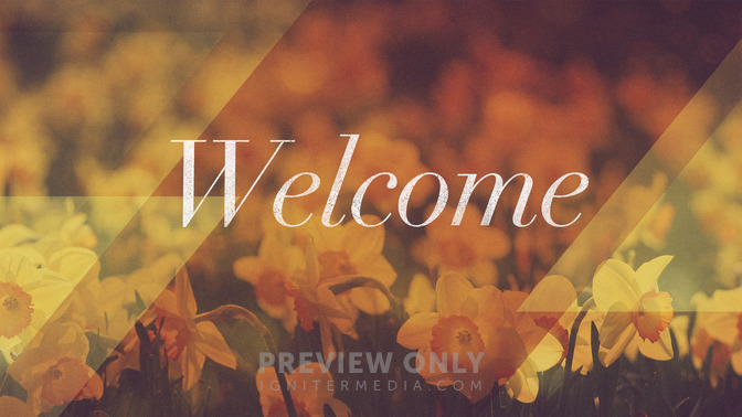 Morning_Flowers_-_Welcome_16x9-TITLE-2#preset=tg_title2.jpg